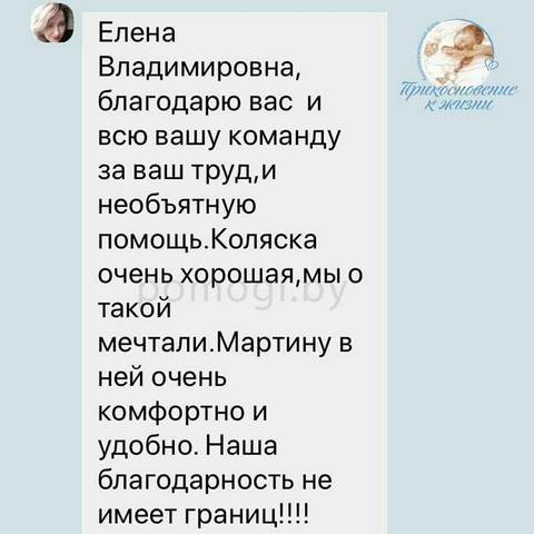 martin chechetko 2