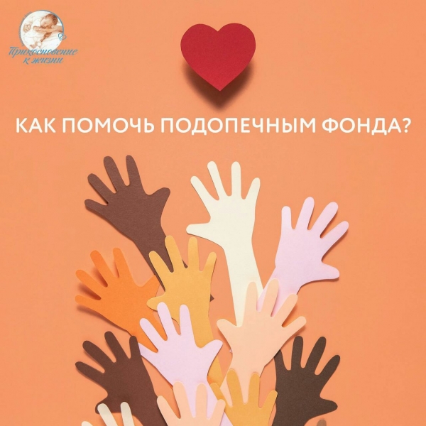 ПОДОПЕЧНЫМ фонда «Прикосновение к жизни» НУЖНА ВАША ПОМОЩЬ