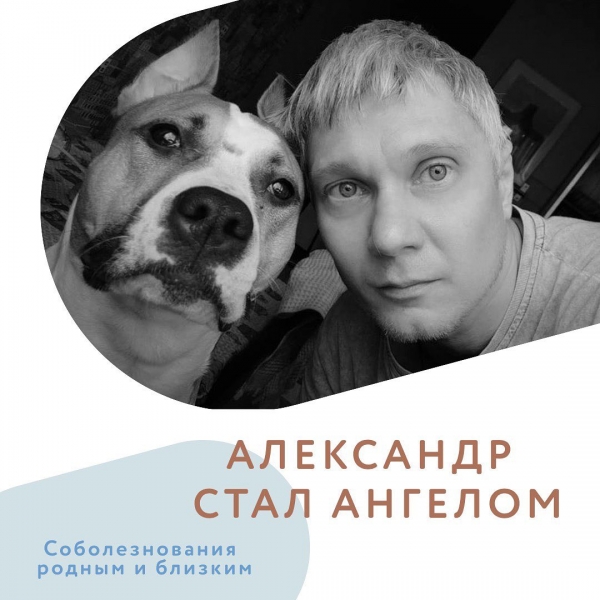 Александр стал Ангелом...